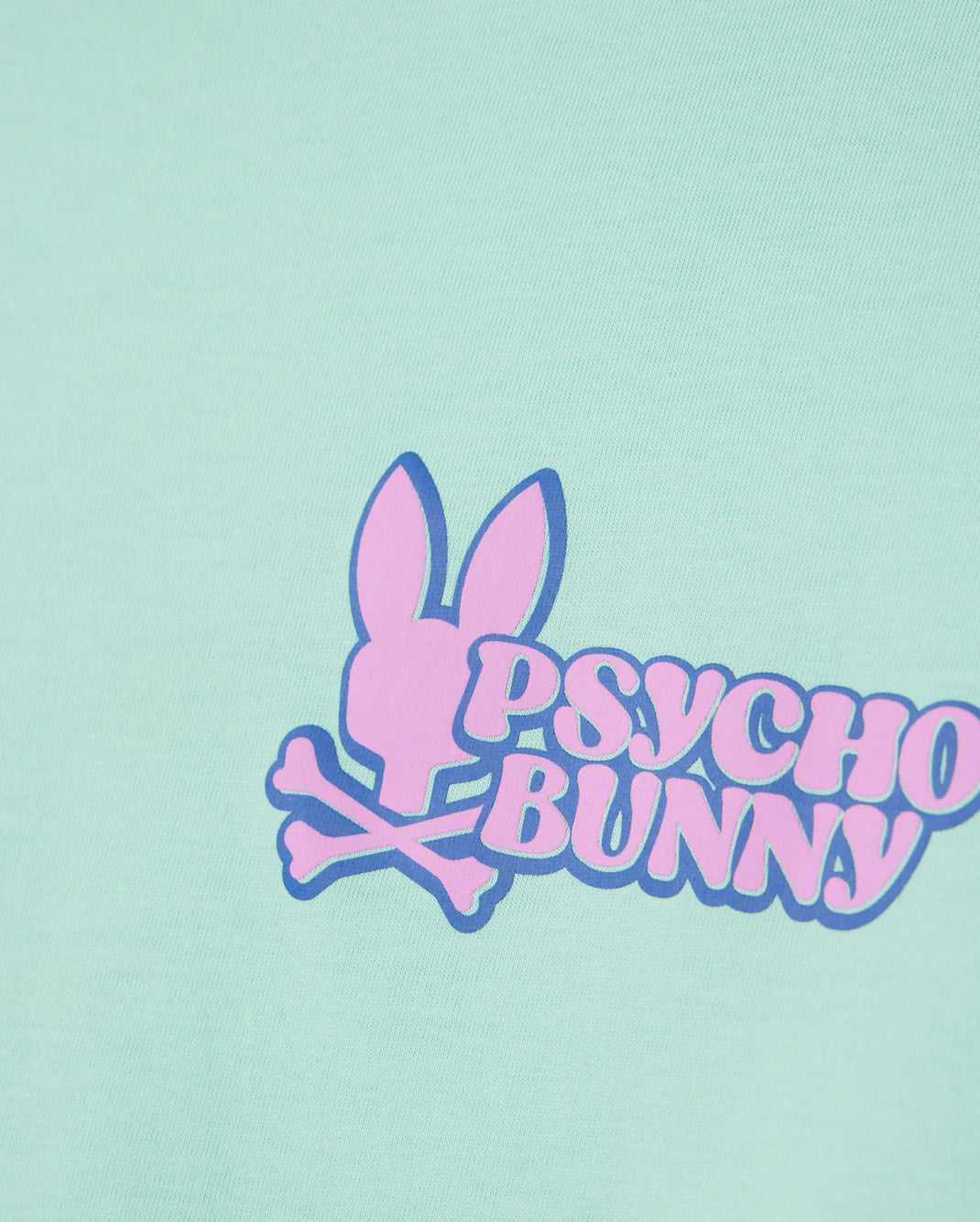 Tees Psycho Bunny Redland Graphic Tee Beach Glass Homme | FLG-64845353